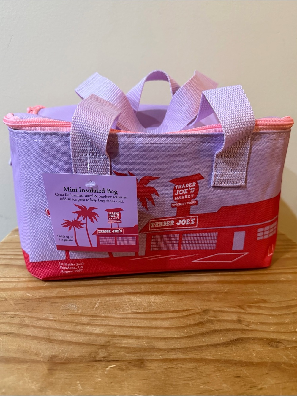NWT Trader Joe’s Mini Insulated Bag - Cooler Lunch Box Toiletry Bag